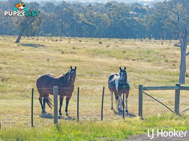 370 Selection Road SUGARLOAF CREEK VIC 3658