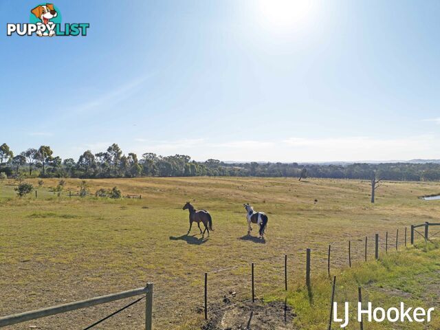 370 Selection Road SUGARLOAF CREEK VIC 3658