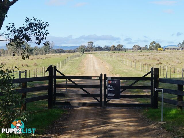 370 Selection Road SUGARLOAF CREEK VIC 3658