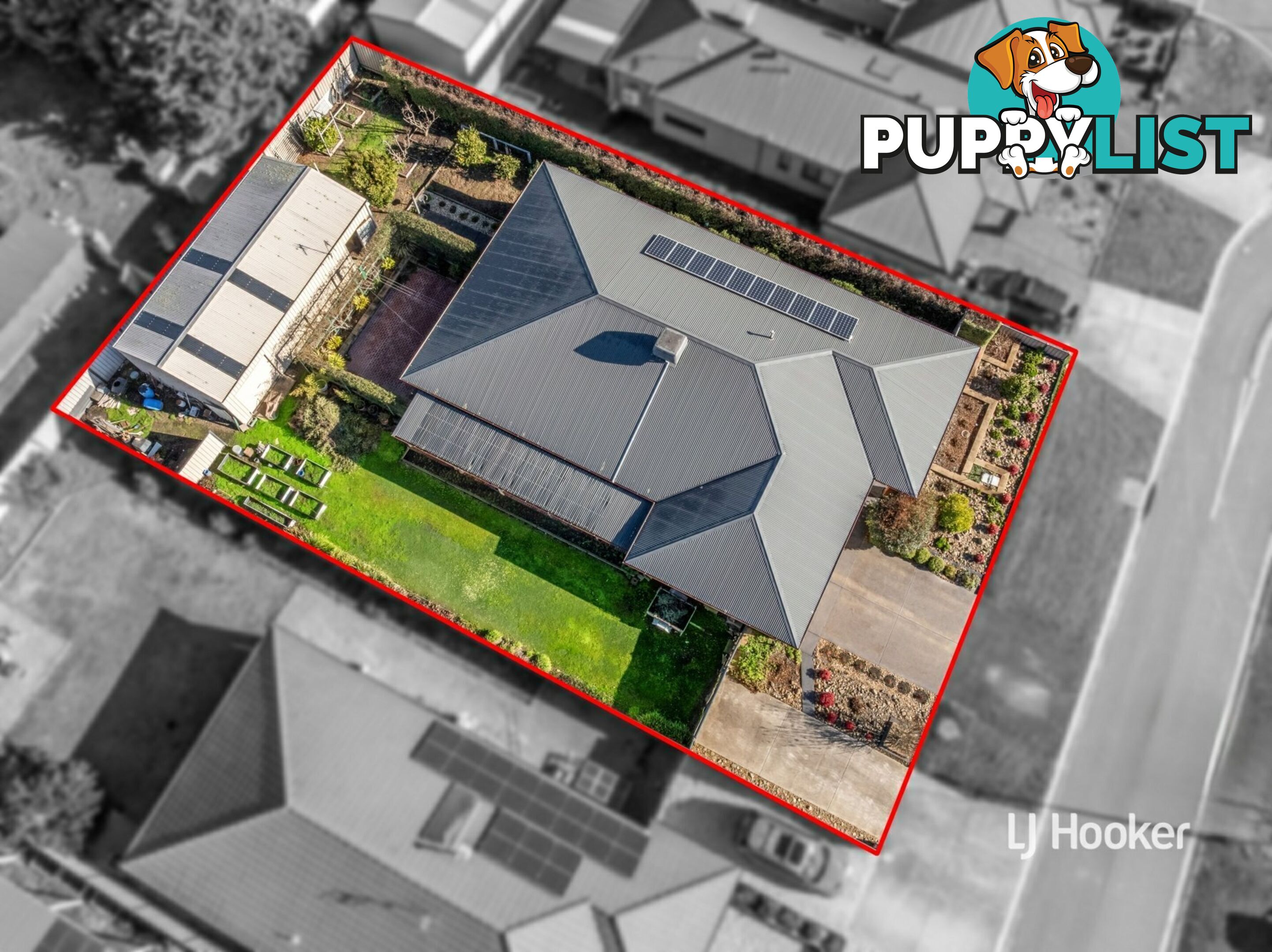8 Eucalyptus Court BROADFORD VIC 3658