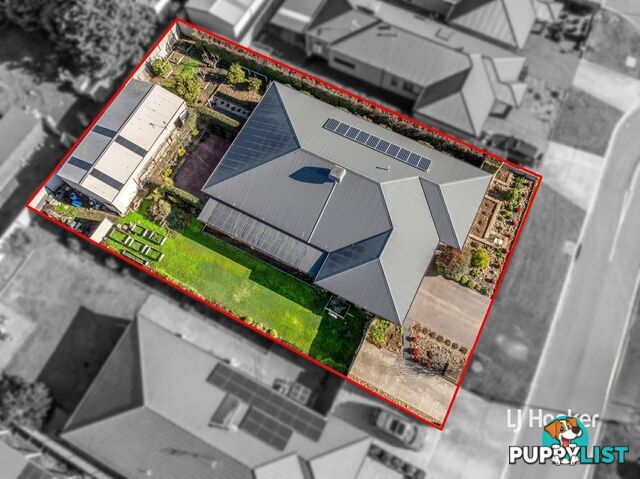 8 Eucalyptus Court BROADFORD VIC 3658