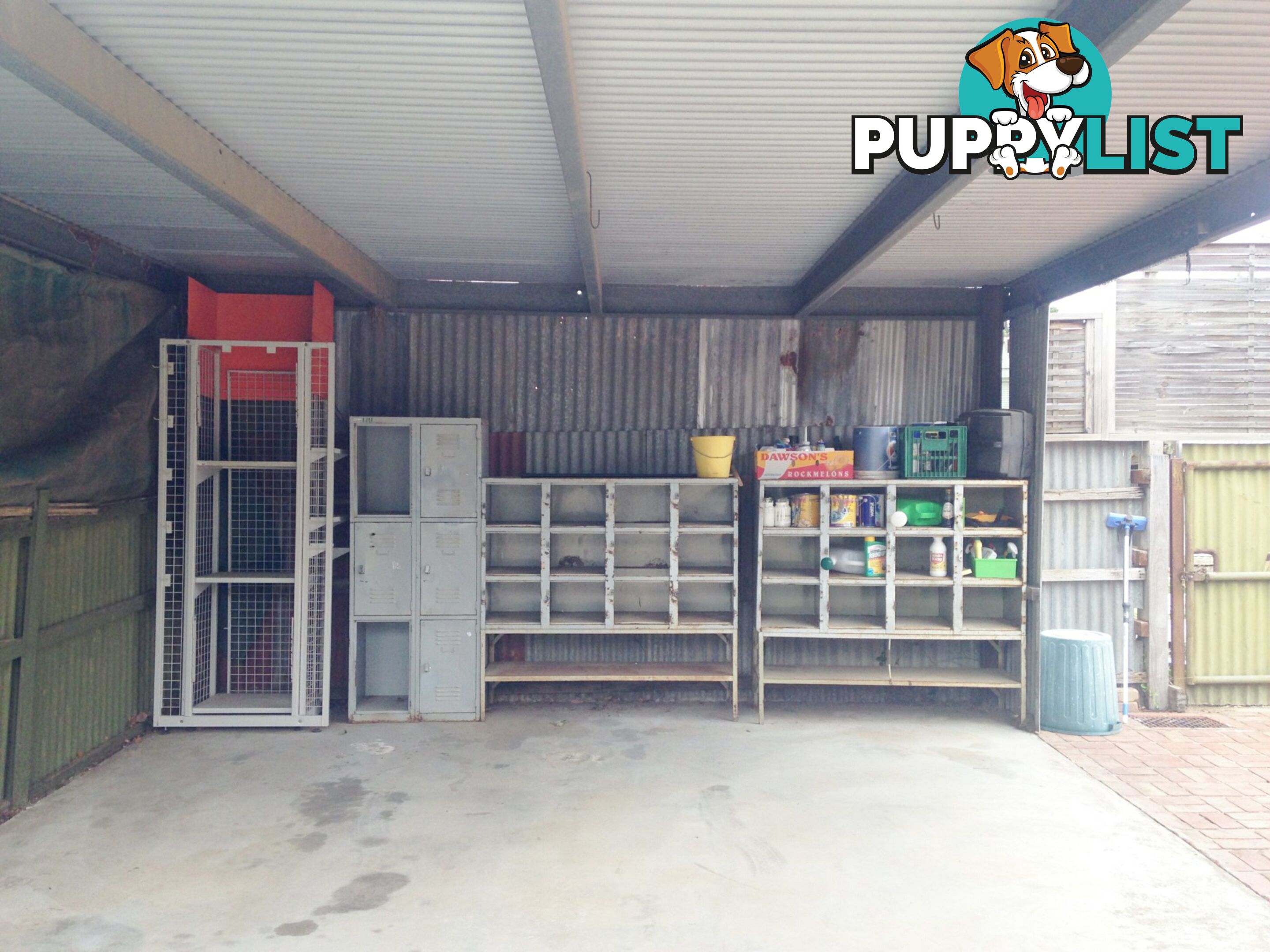 54B Gavan Street BROADFORD VIC 3658