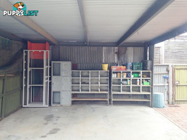 54B Gavan Street BROADFORD VIC 3658