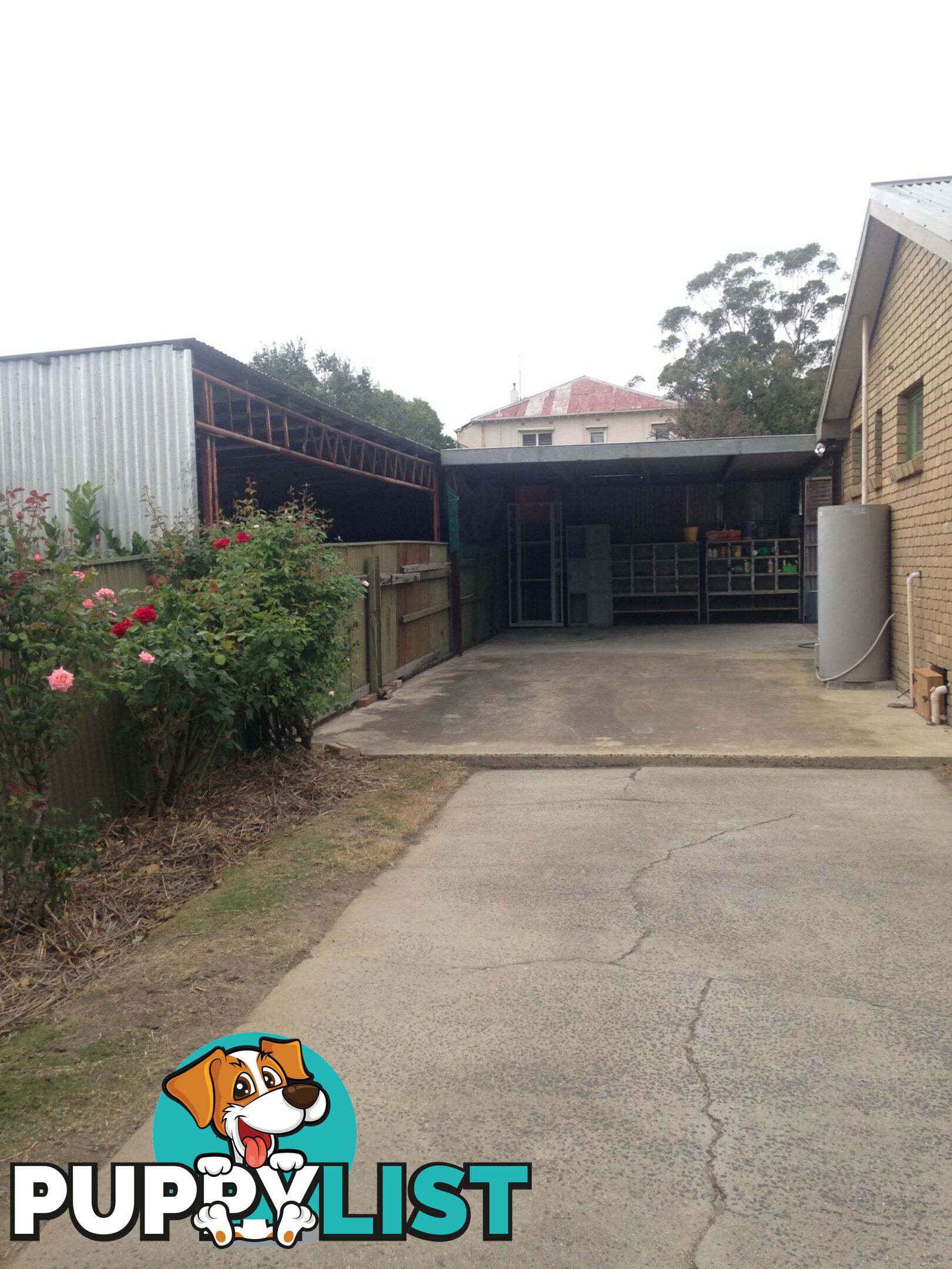 54B Gavan Street BROADFORD VIC 3658