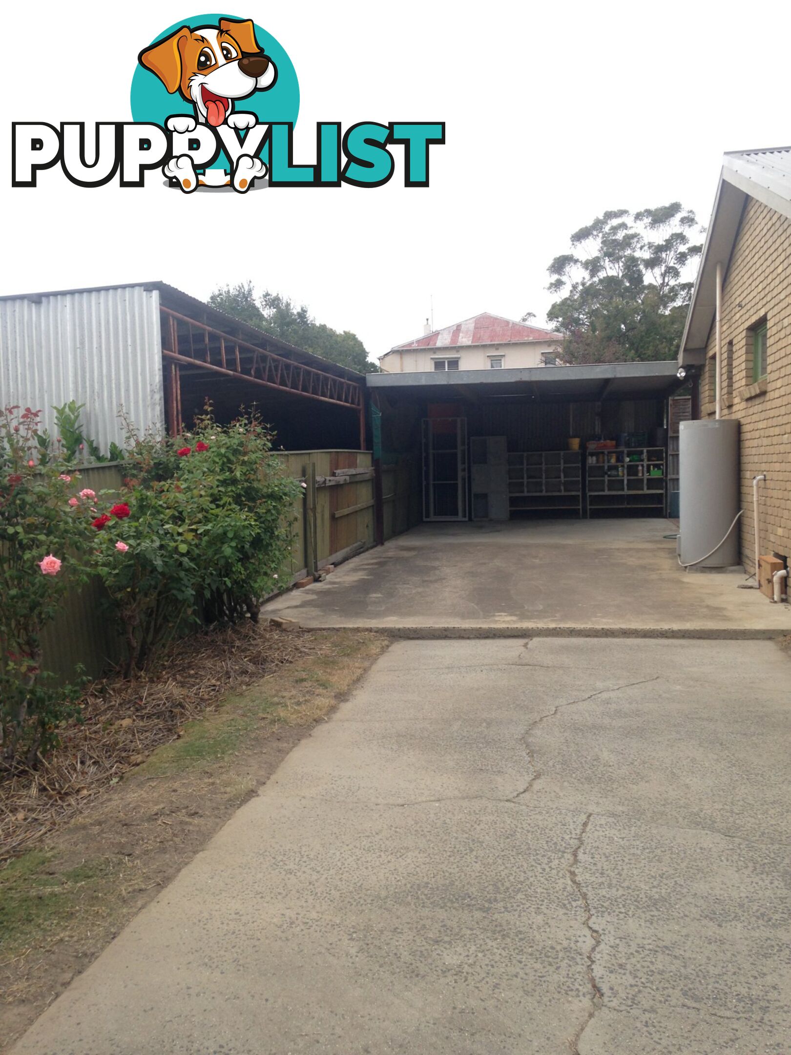 54B Gavan Street BROADFORD VIC 3658