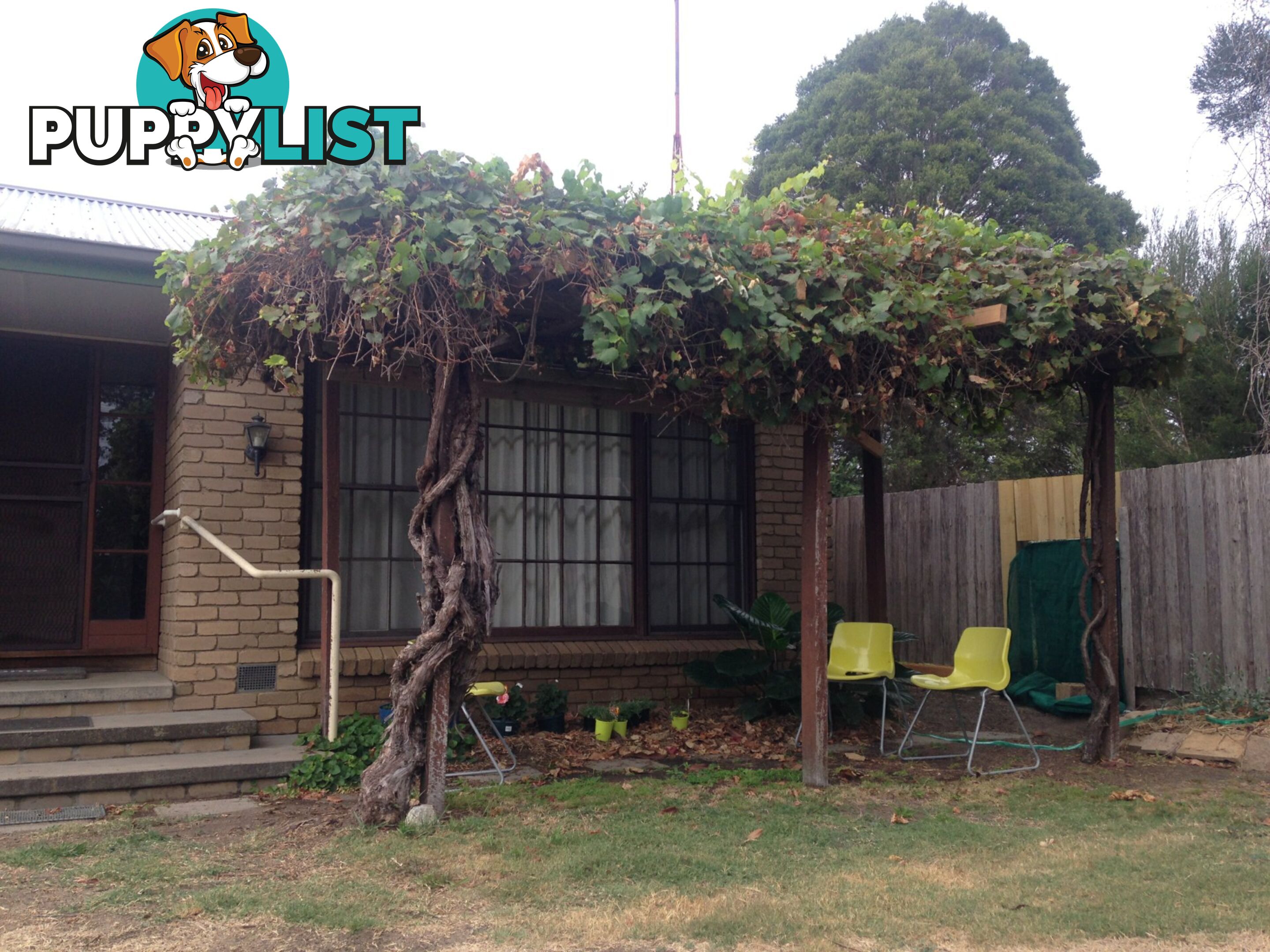 54B Gavan Street BROADFORD VIC 3658