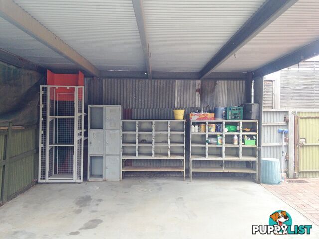54B Gavan Street BROADFORD VIC 3658