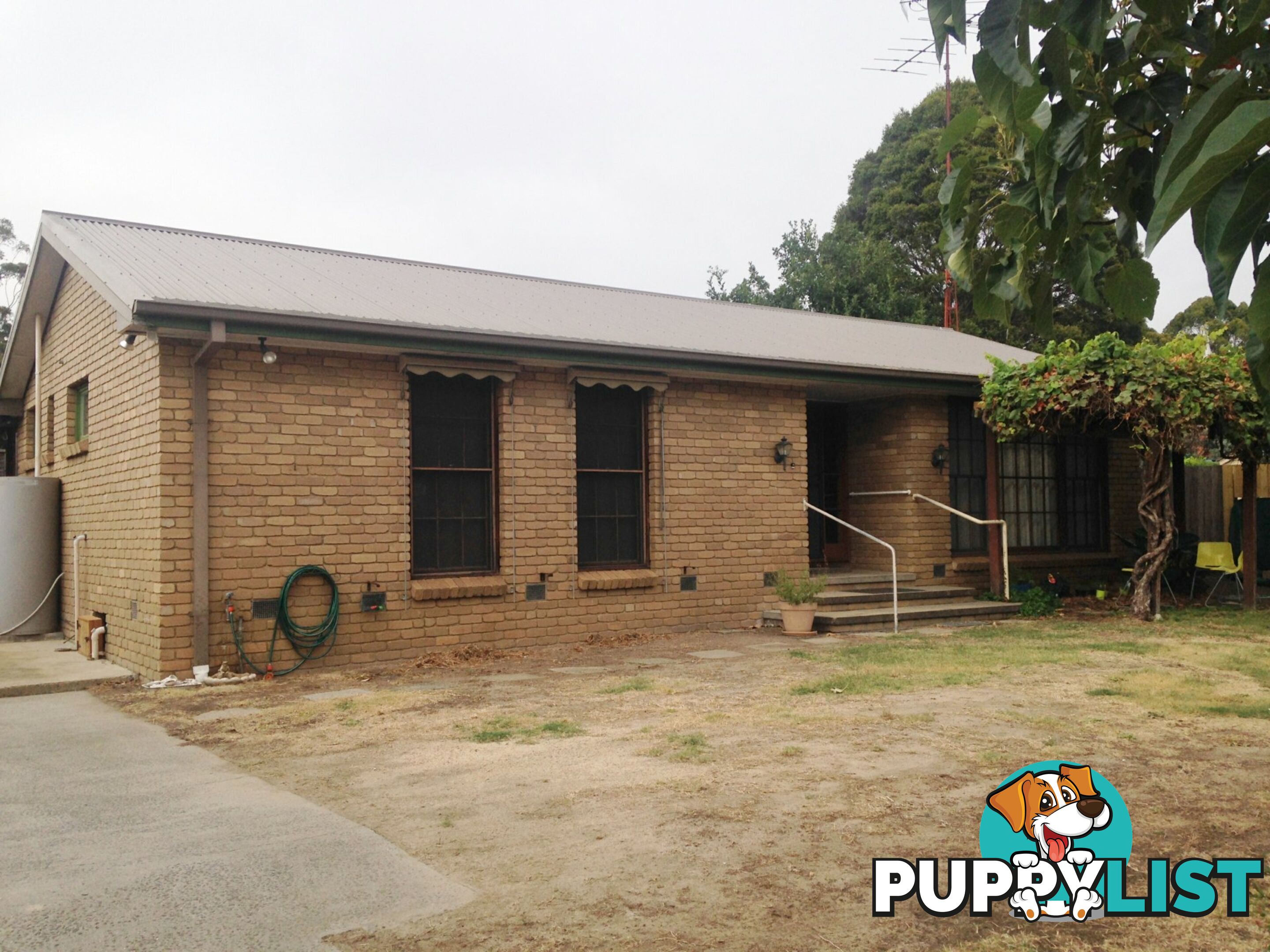 54B Gavan Street BROADFORD VIC 3658