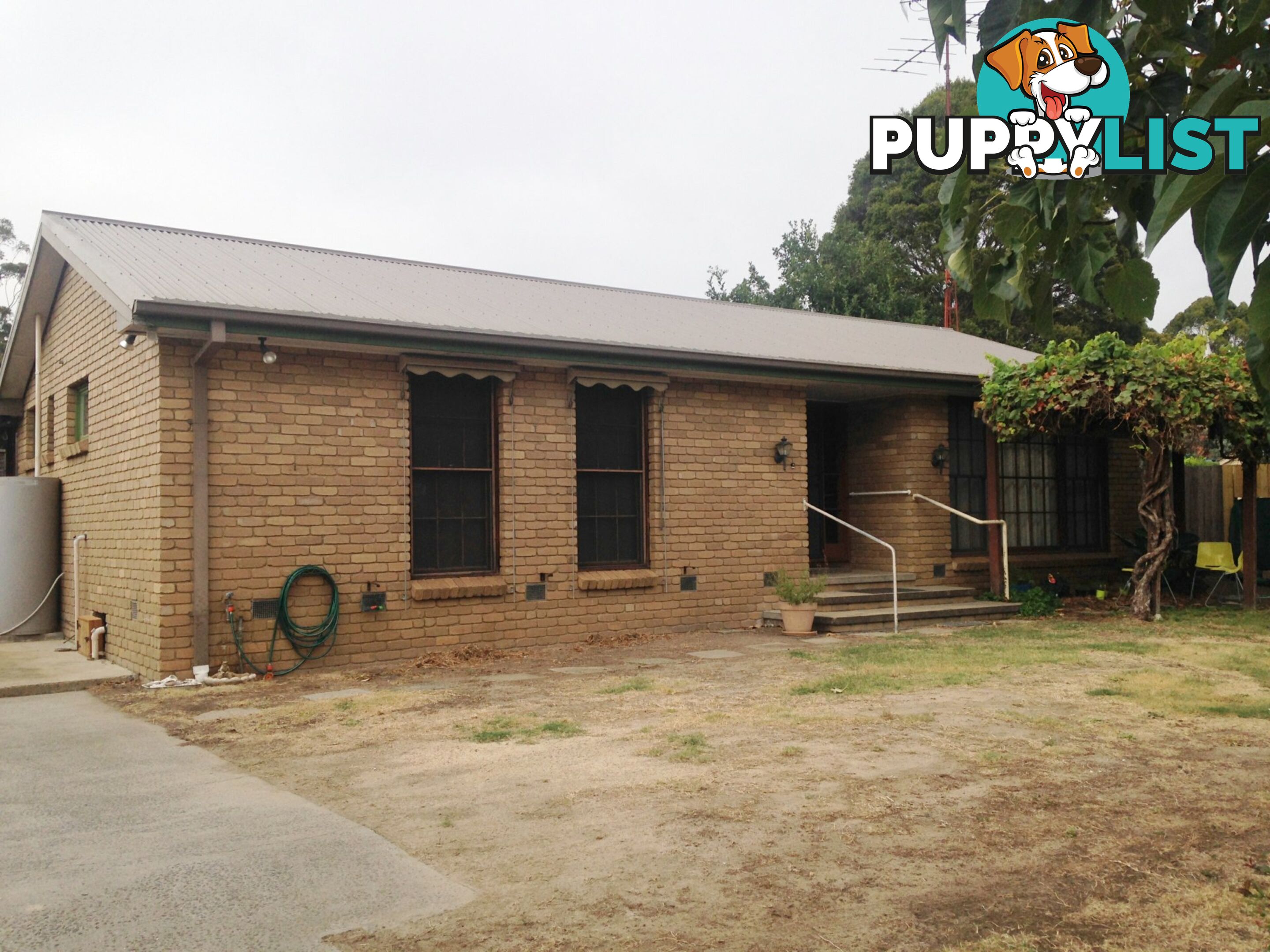 54B Gavan Street BROADFORD VIC 3658