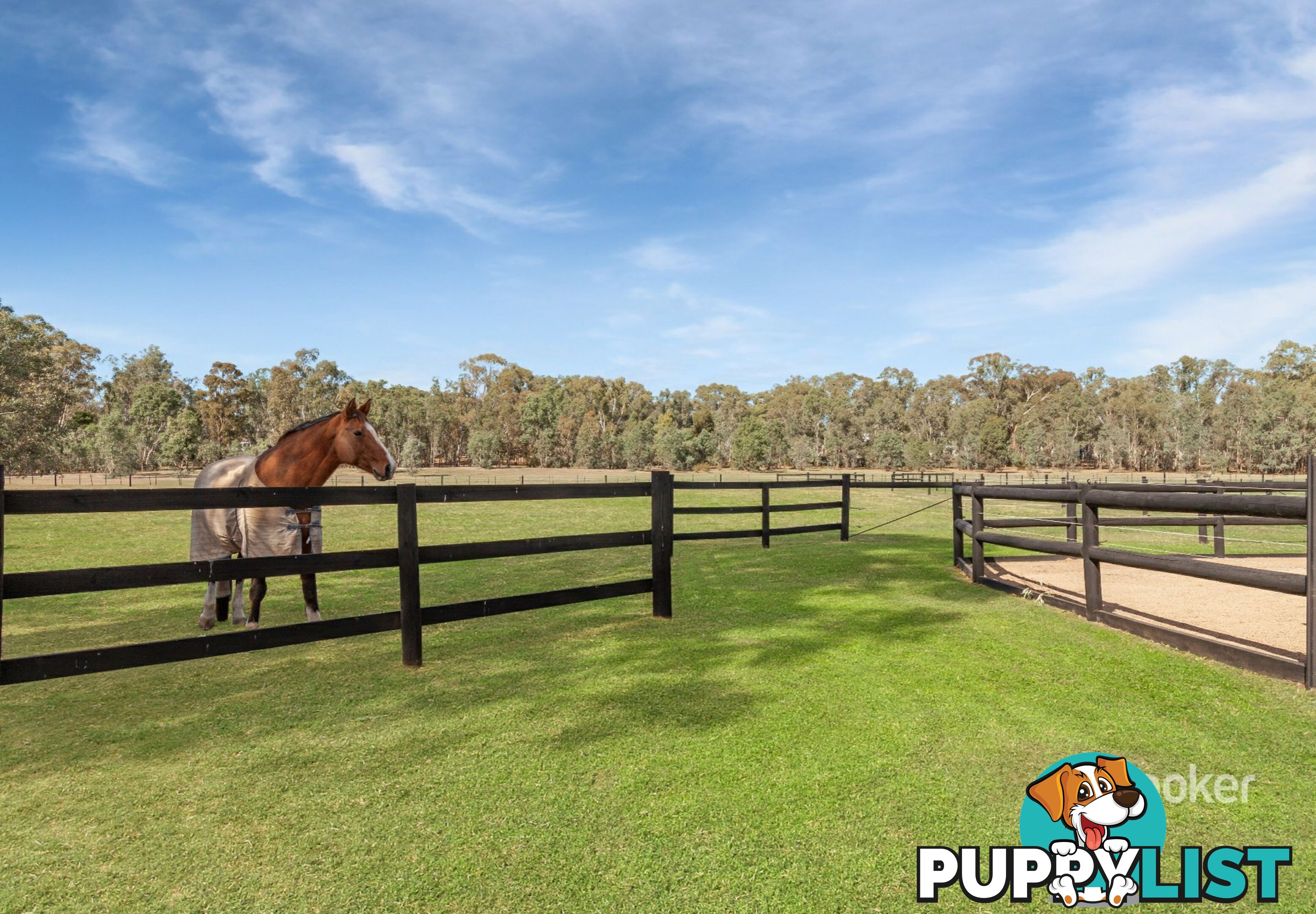 160 Delatite Road SEYMOUR VIC 3660