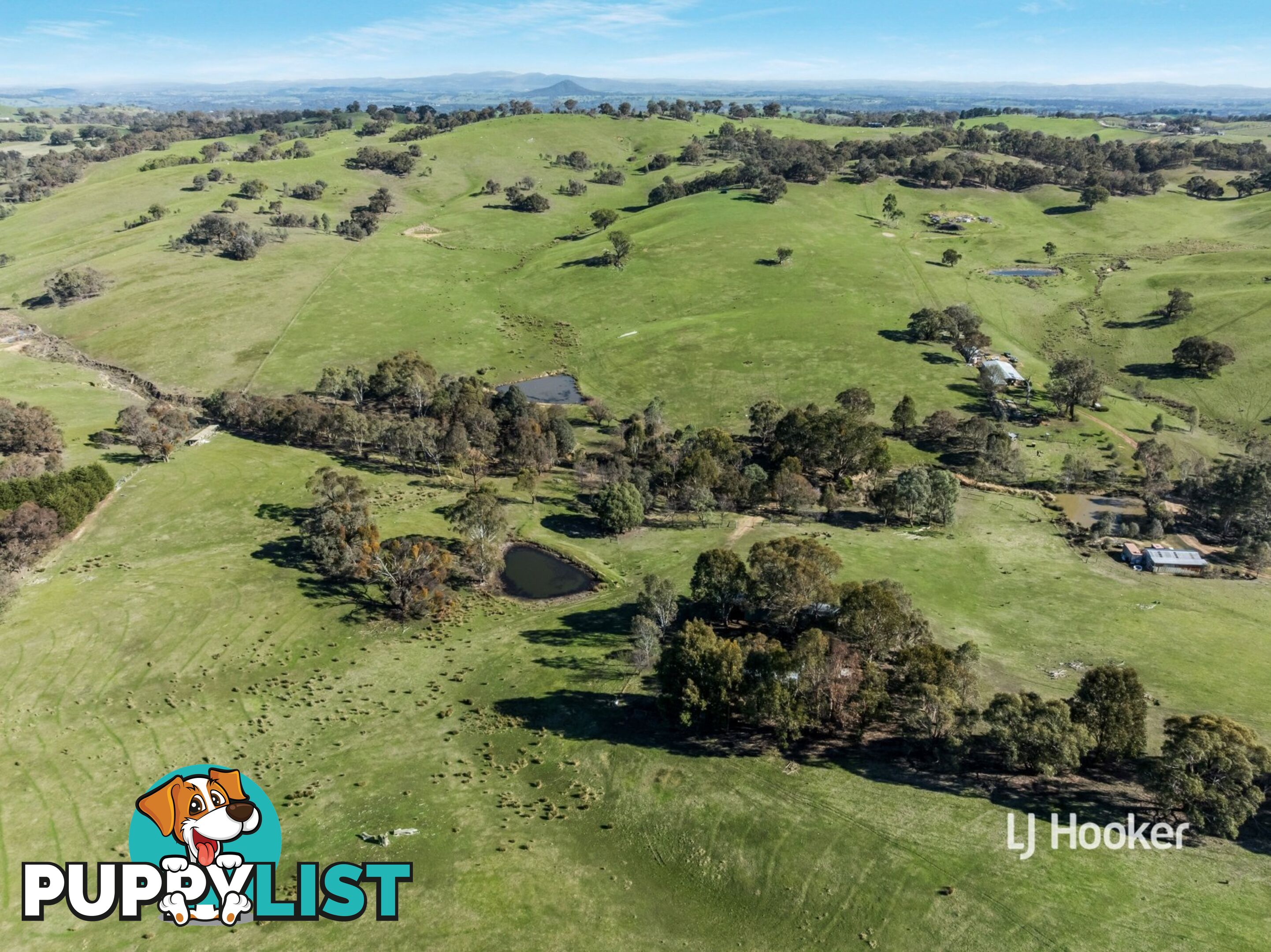 250 Cunninghams Road TYAAK VIC 3658