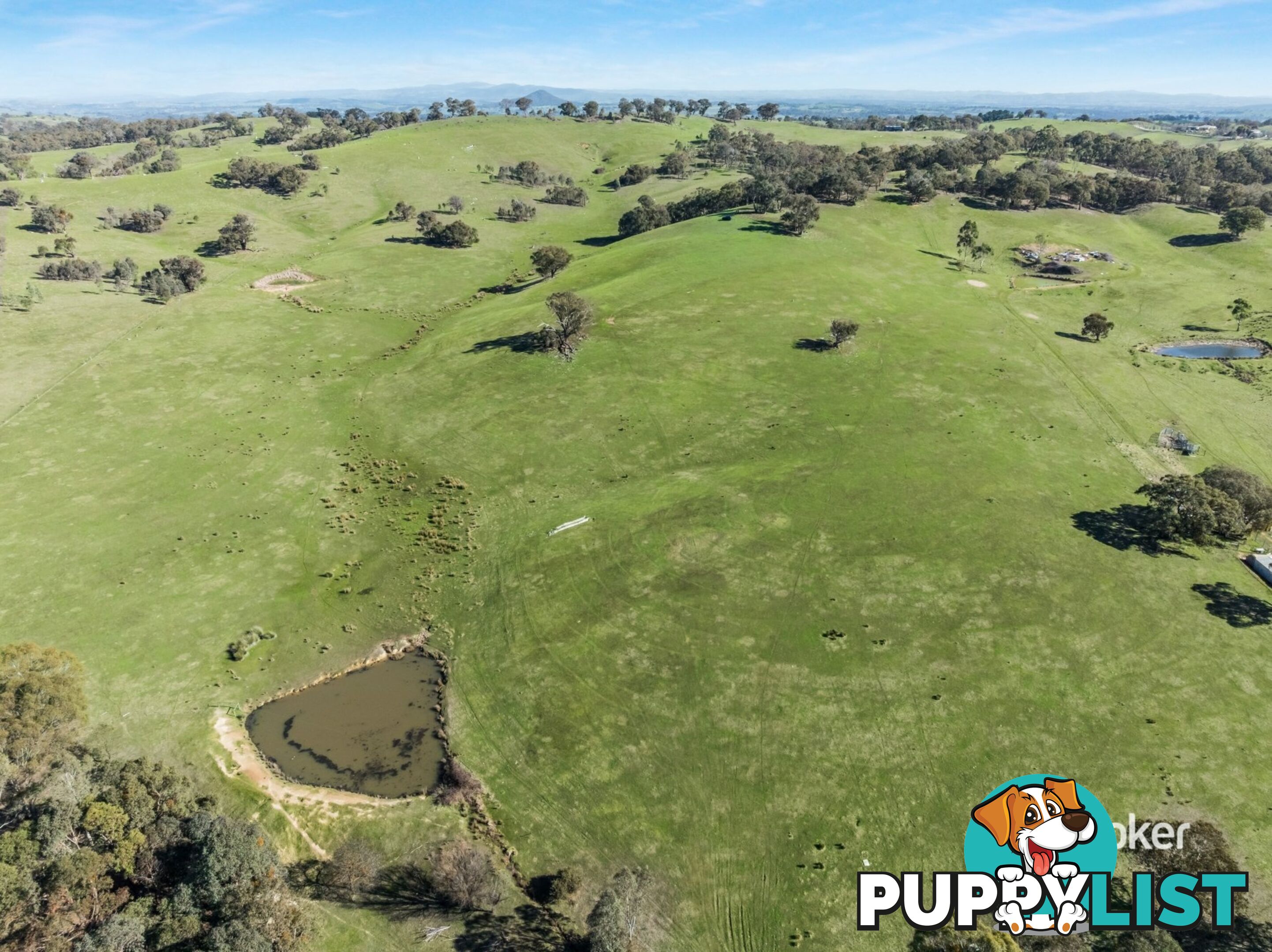 250 Cunninghams Road TYAAK VIC 3658