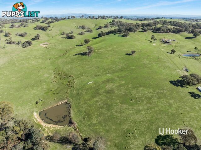250 Cunninghams Road TYAAK VIC 3658