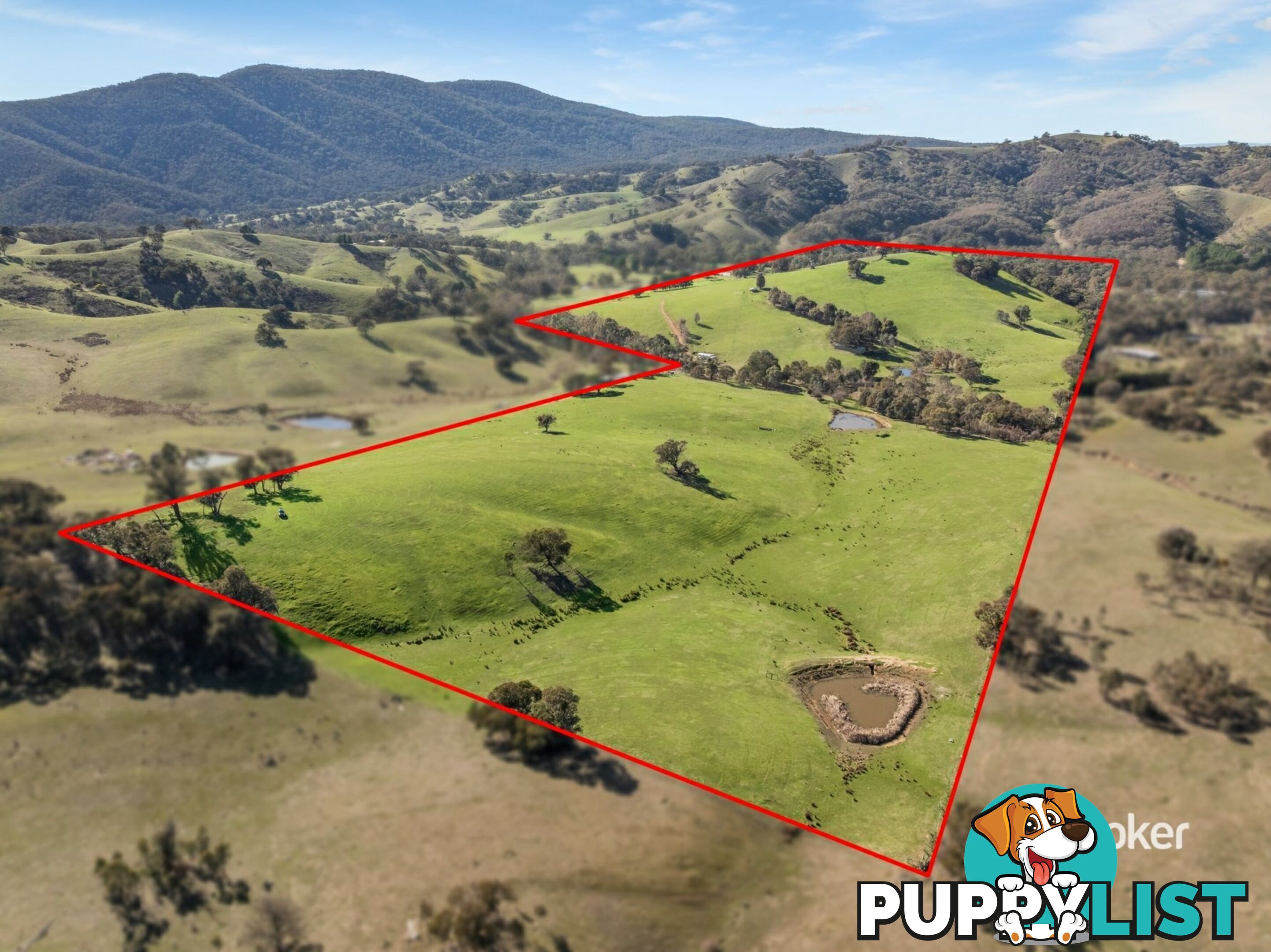 250 Cunninghams Road TYAAK VIC 3658