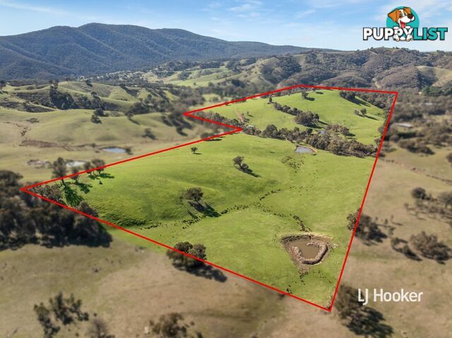 250 Cunninghams Road TYAAK VIC 3658