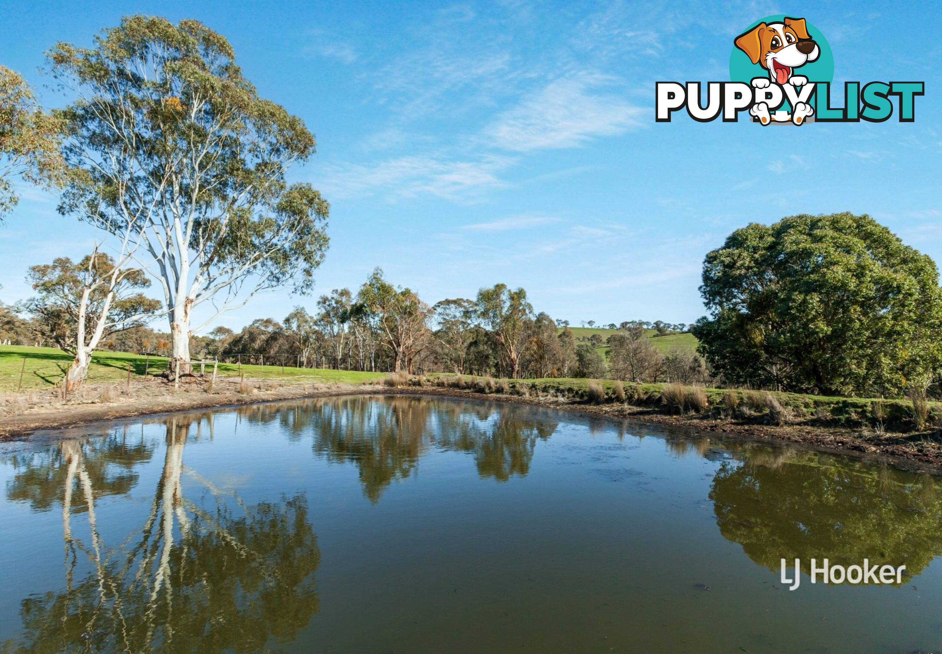 250 Cunninghams Road TYAAK VIC 3658