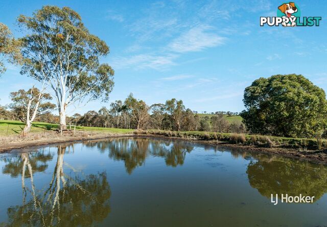 250 Cunninghams Road TYAAK VIC 3658