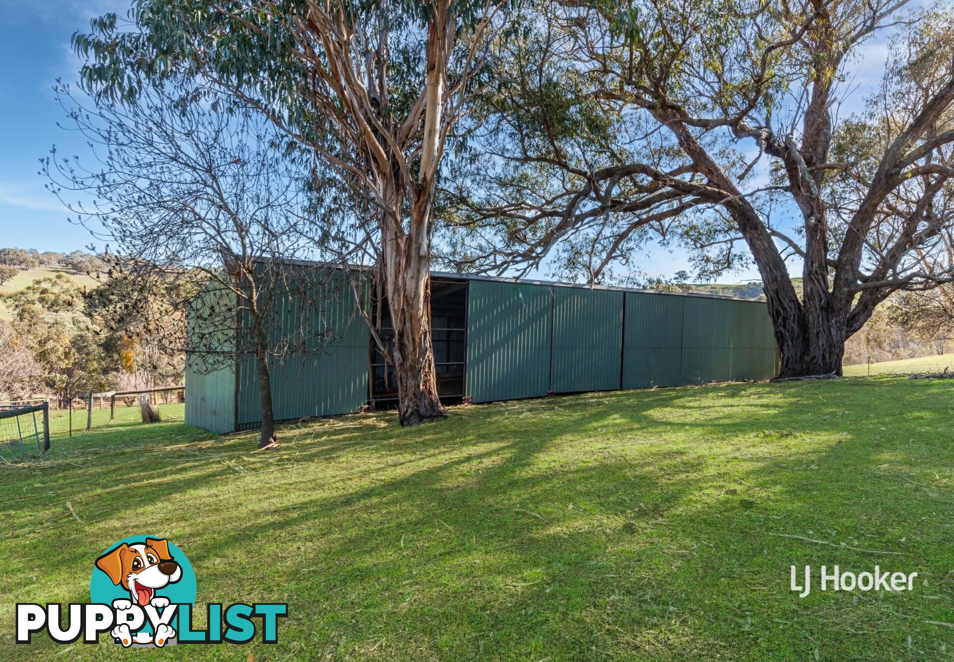 250 Cunninghams Road TYAAK VIC 3658