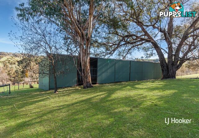 250 Cunninghams Road TYAAK VIC 3658