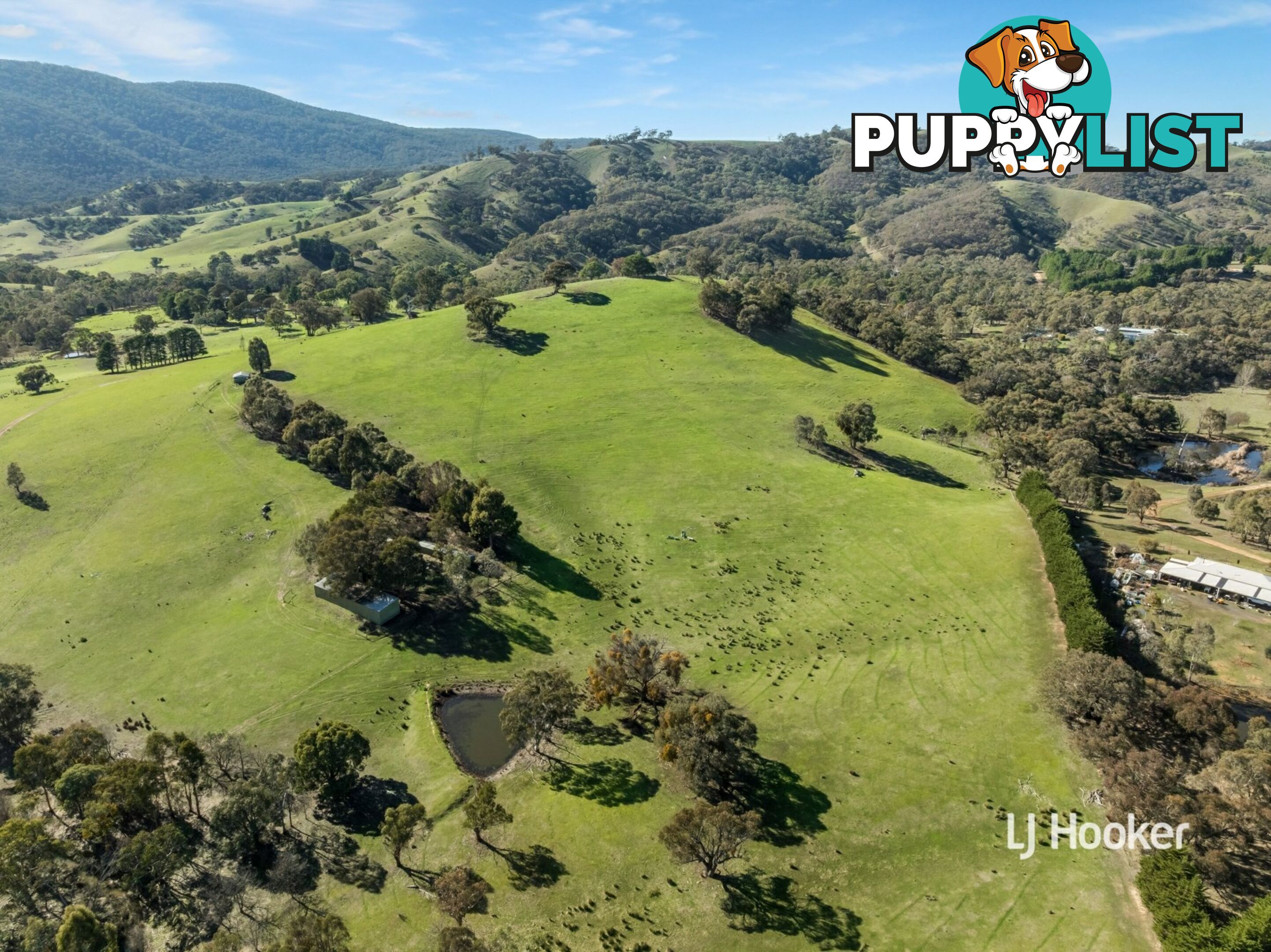 250 Cunninghams Road TYAAK VIC 3658
