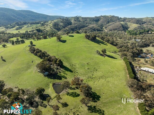 250 Cunninghams Road TYAAK VIC 3658