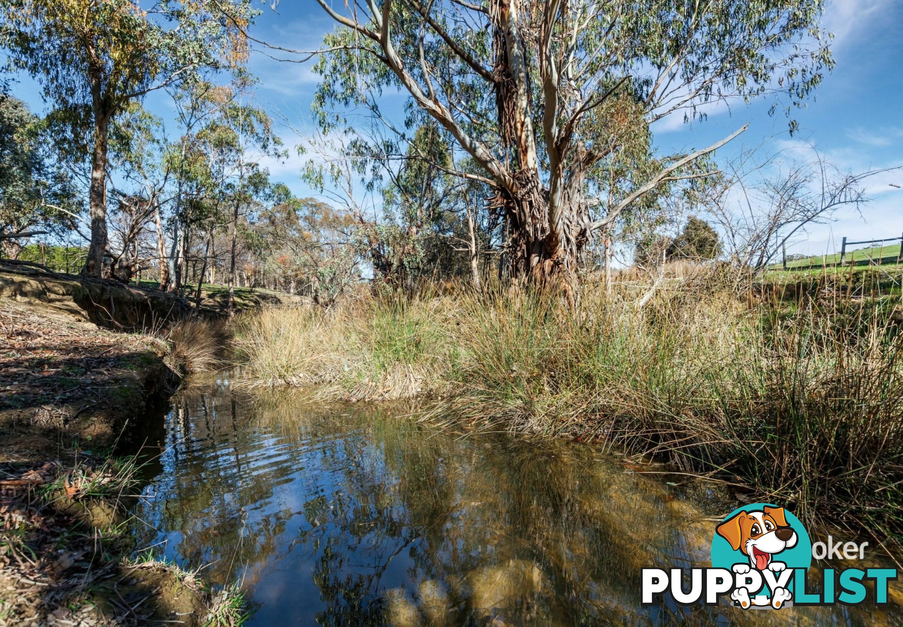 250 Cunninghams Road TYAAK VIC 3658