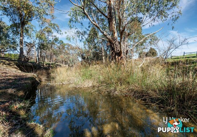250 Cunninghams Road TYAAK VIC 3658