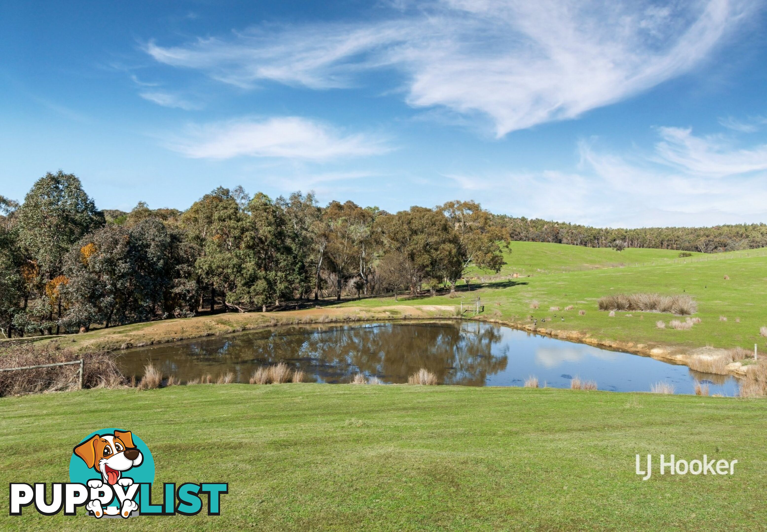 250 Cunninghams Road TYAAK VIC 3658