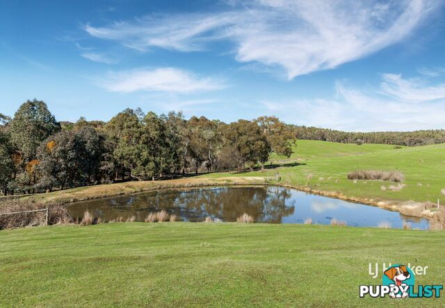 250 Cunninghams Road TYAAK VIC 3658
