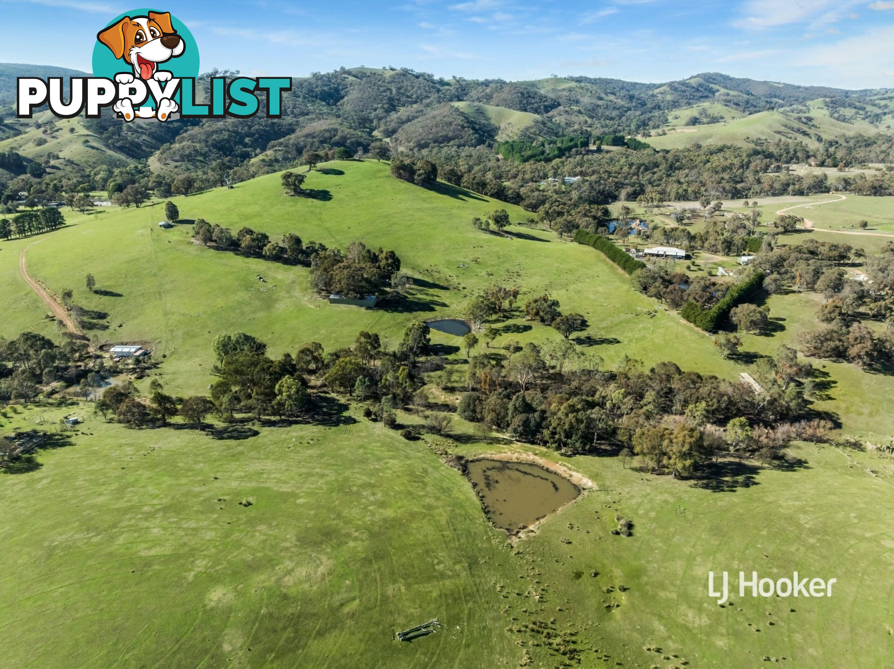 250 Cunninghams Road TYAAK VIC 3658