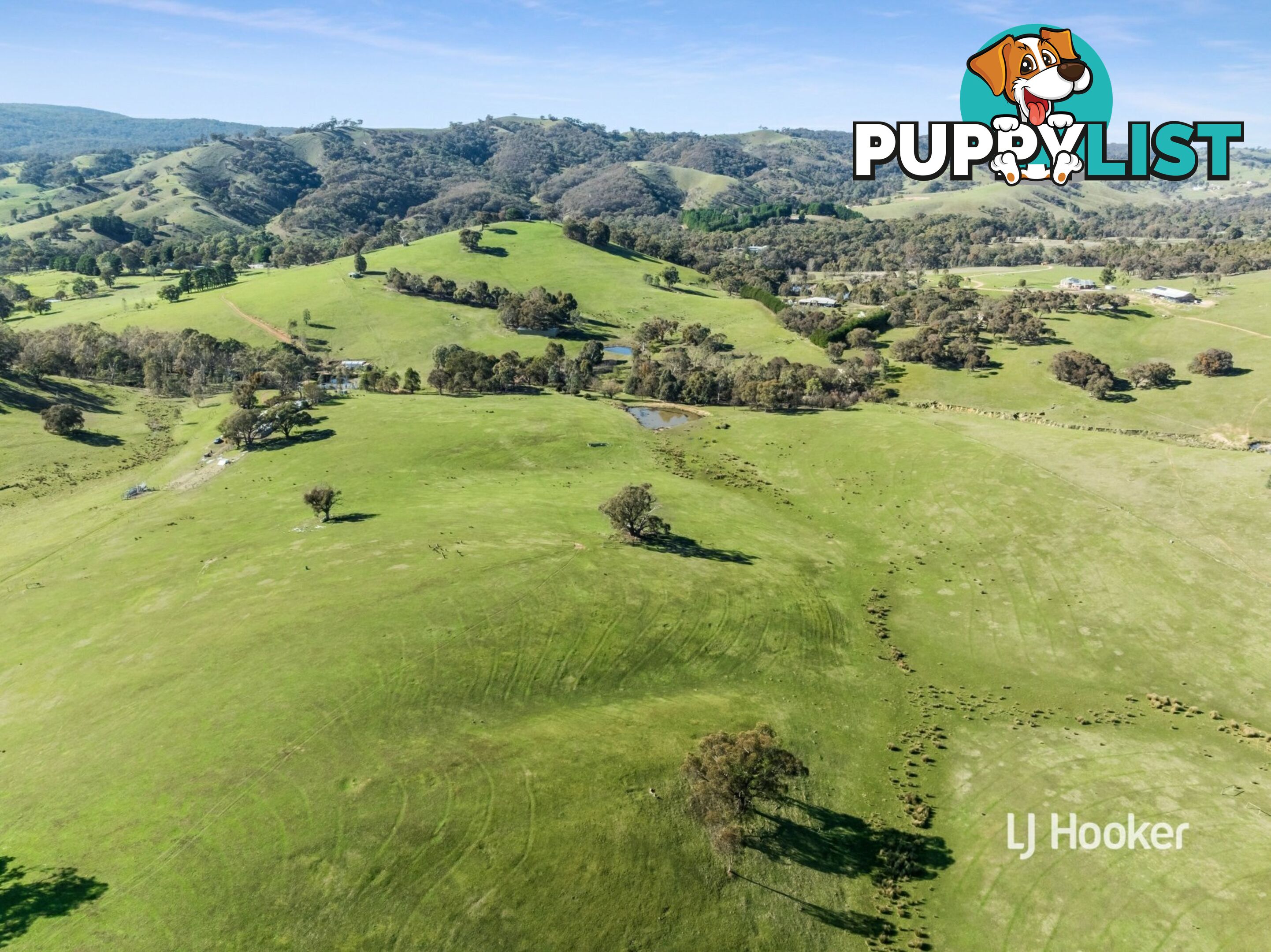 250 Cunninghams Road TYAAK VIC 3658