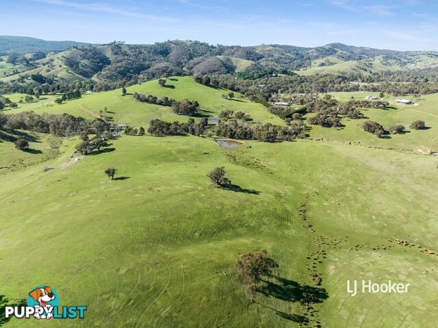250 Cunninghams Road TYAAK VIC 3658