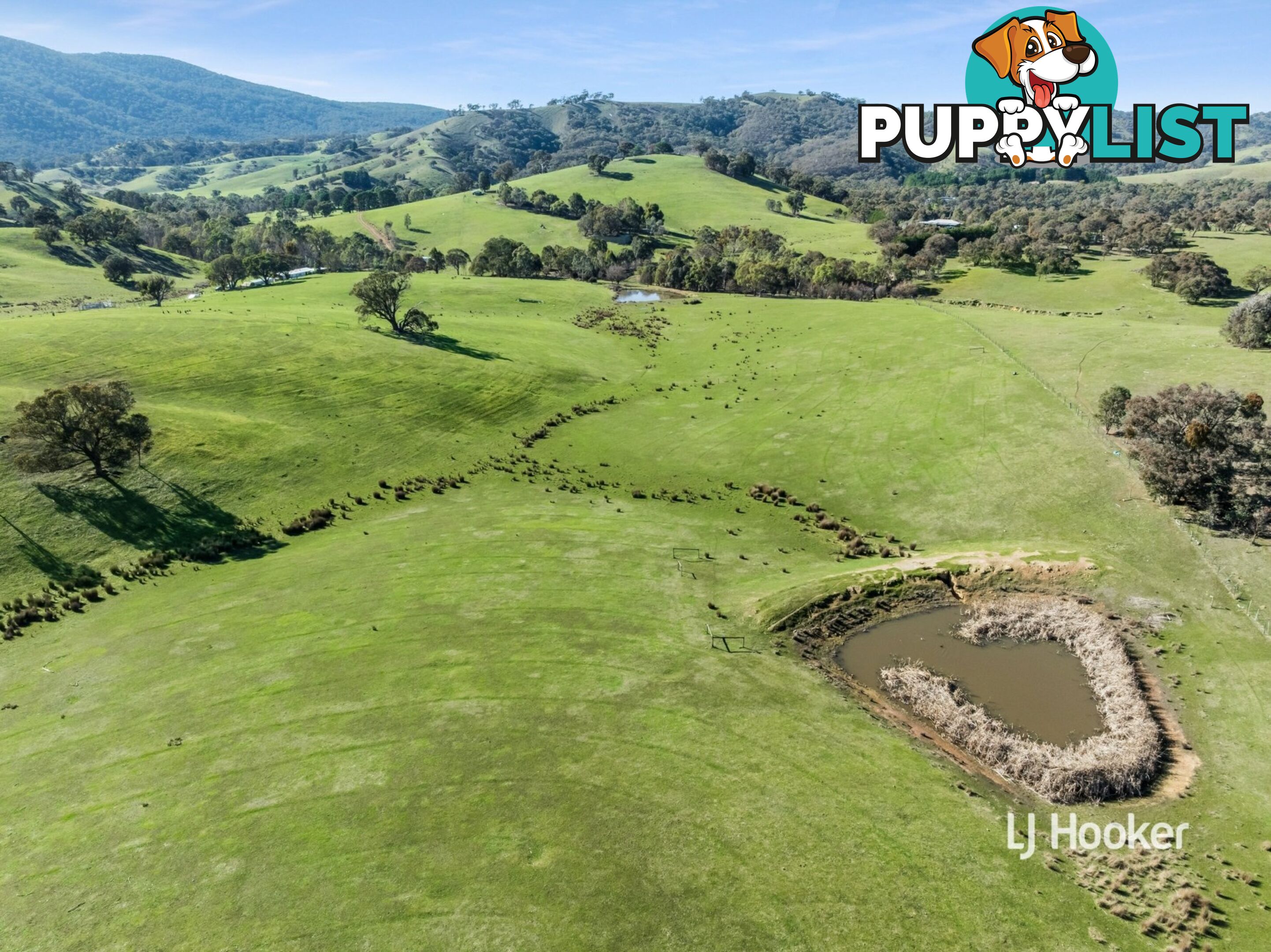 250 Cunninghams Road TYAAK VIC 3658