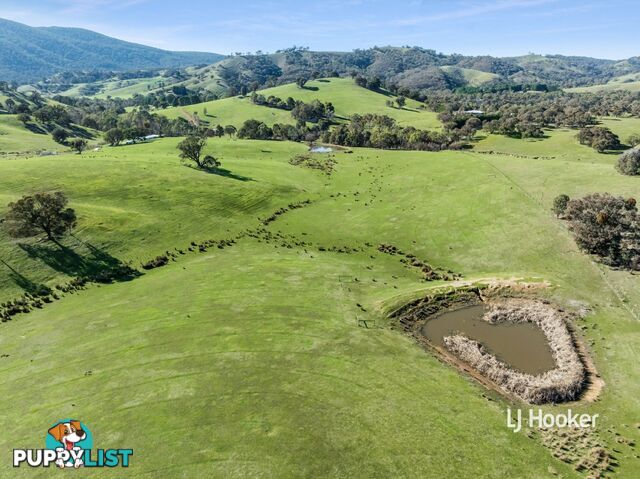 250 Cunninghams Road TYAAK VIC 3658