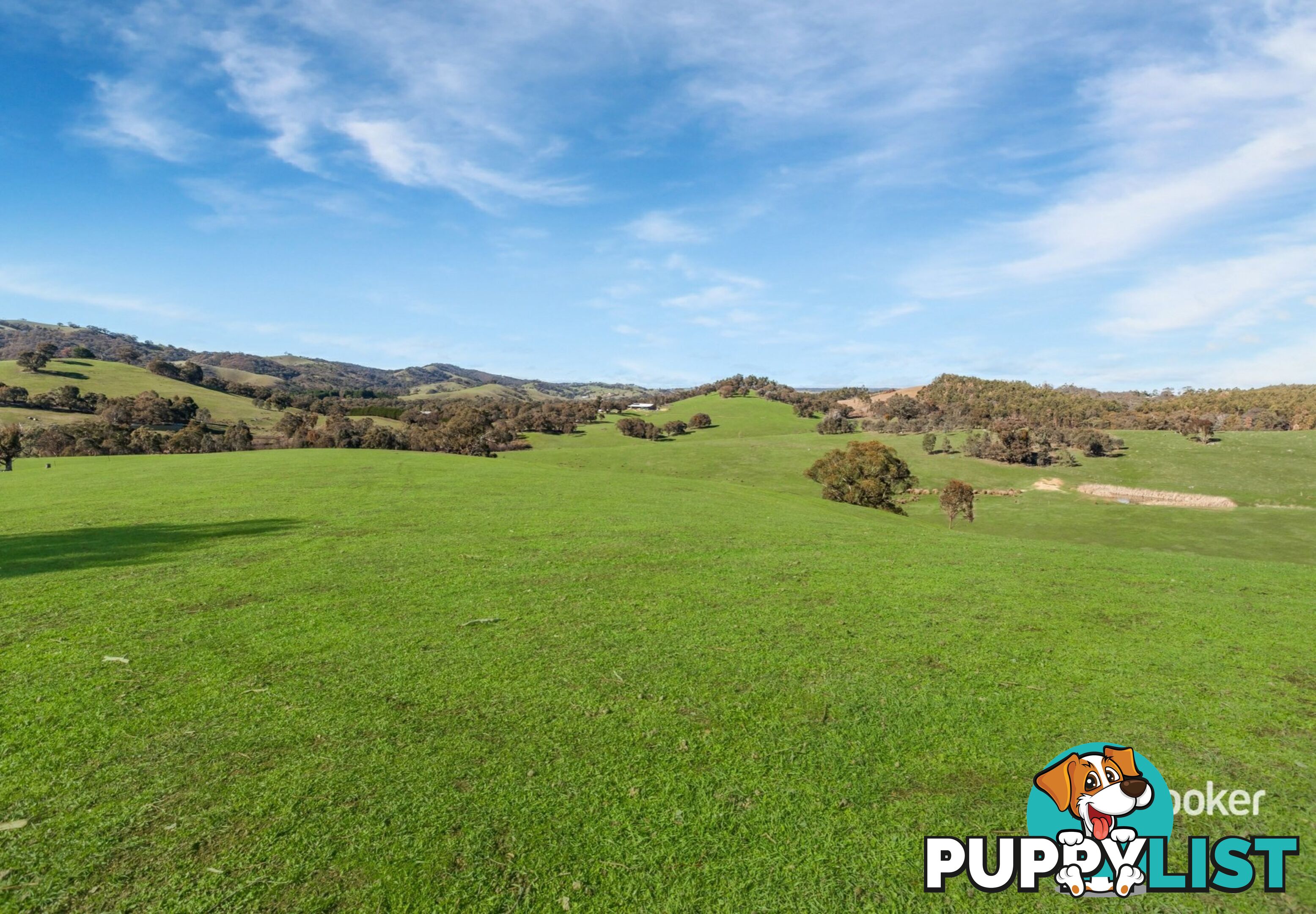 250 Cunninghams Road TYAAK VIC 3658