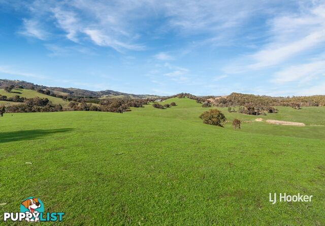 250 Cunninghams Road TYAAK VIC 3658