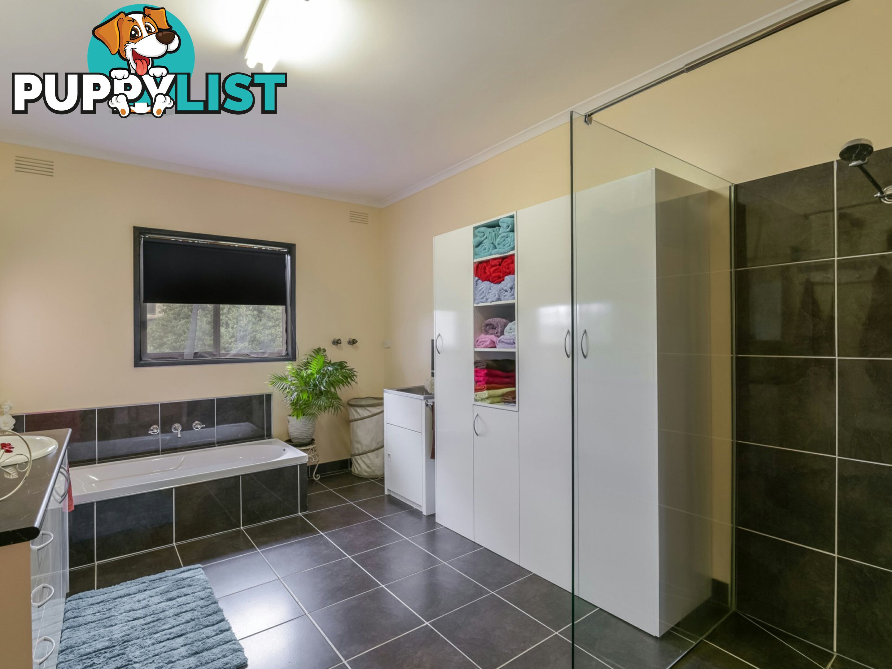 36 Jamieson Street BROADFORD VIC 3658