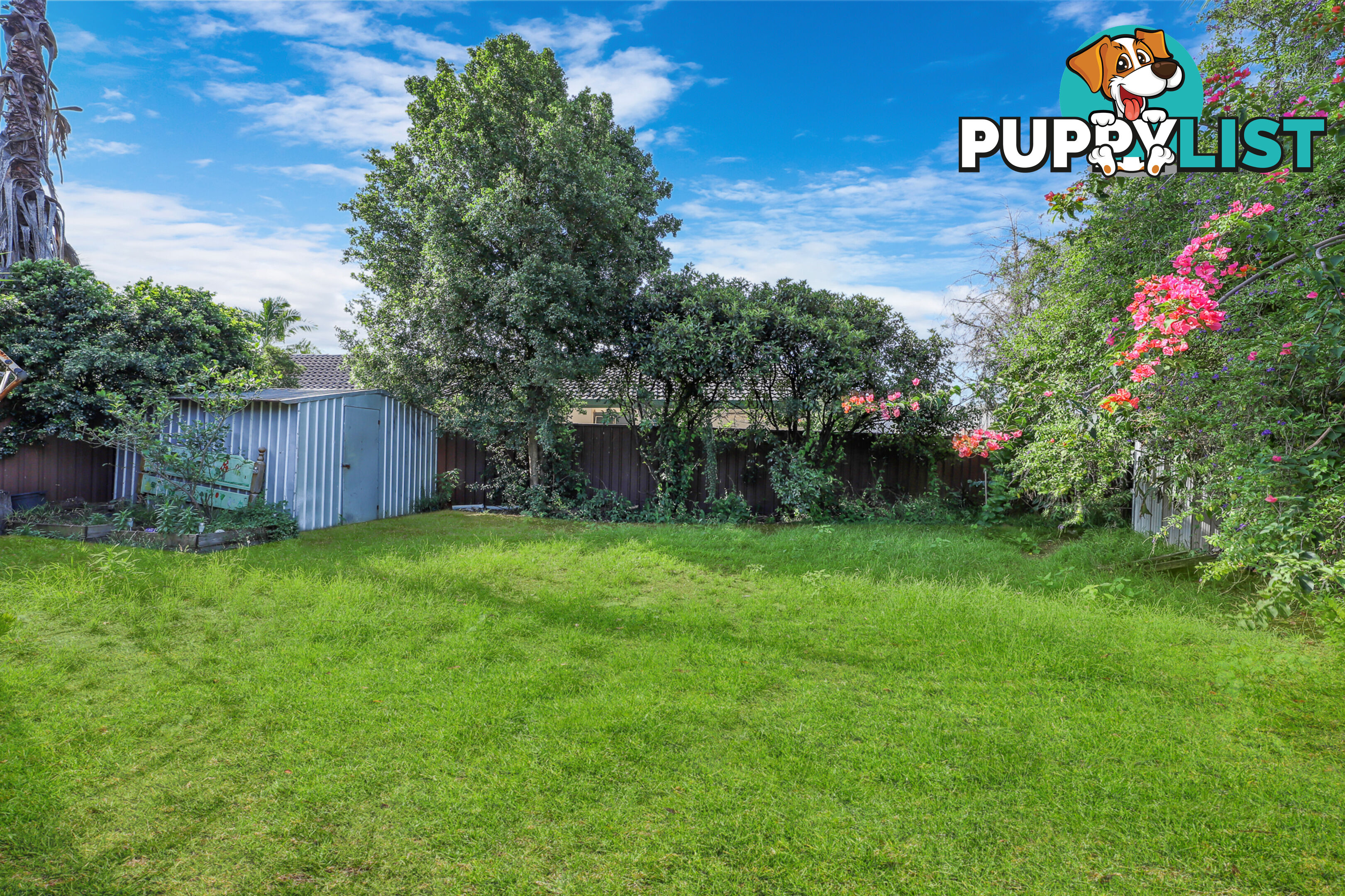 20 Howell Crescent SOUTH WINDSOR NSW 2756