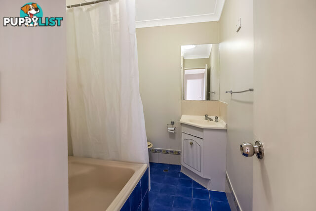 41 James Meehan Street WINDSOR NSW 2756