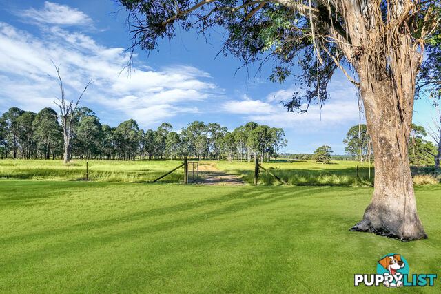 326 Fairey Road SOUTH WINDSOR NSW 2756