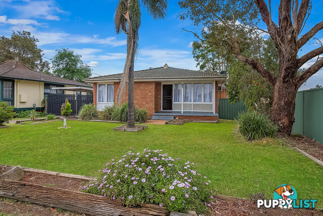 41 James Meehan Street WINDSOR NSW 2756