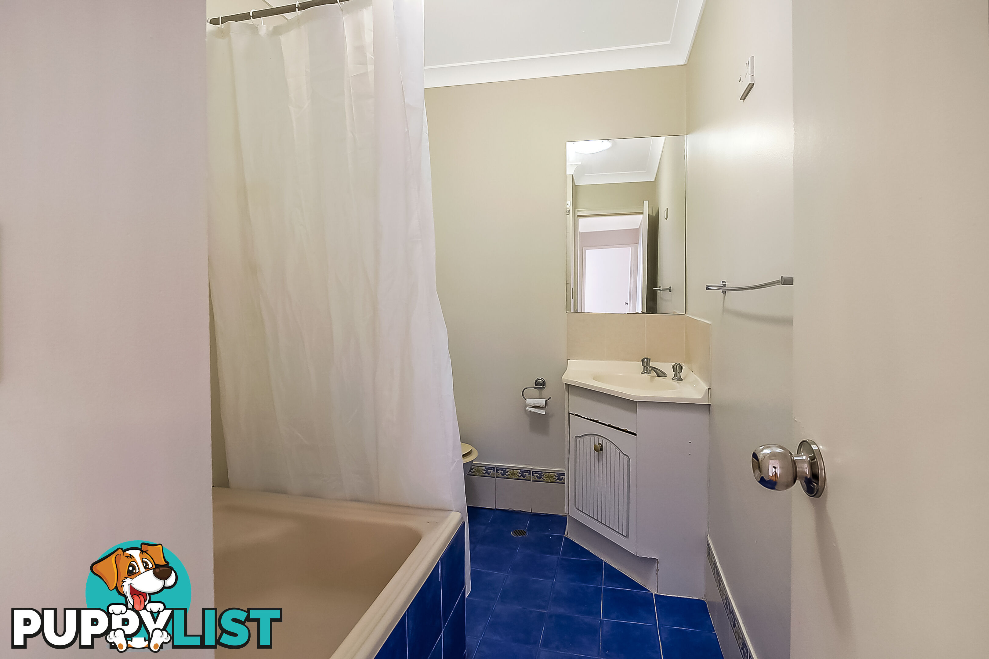 41 James Meehan Street WINDSOR NSW 2756