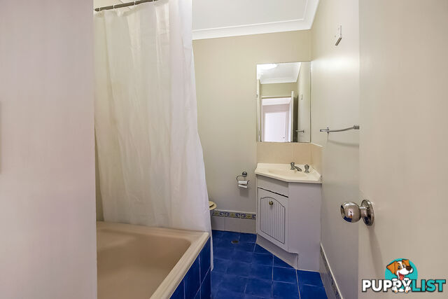 41 James Meehan Street WINDSOR NSW 2756