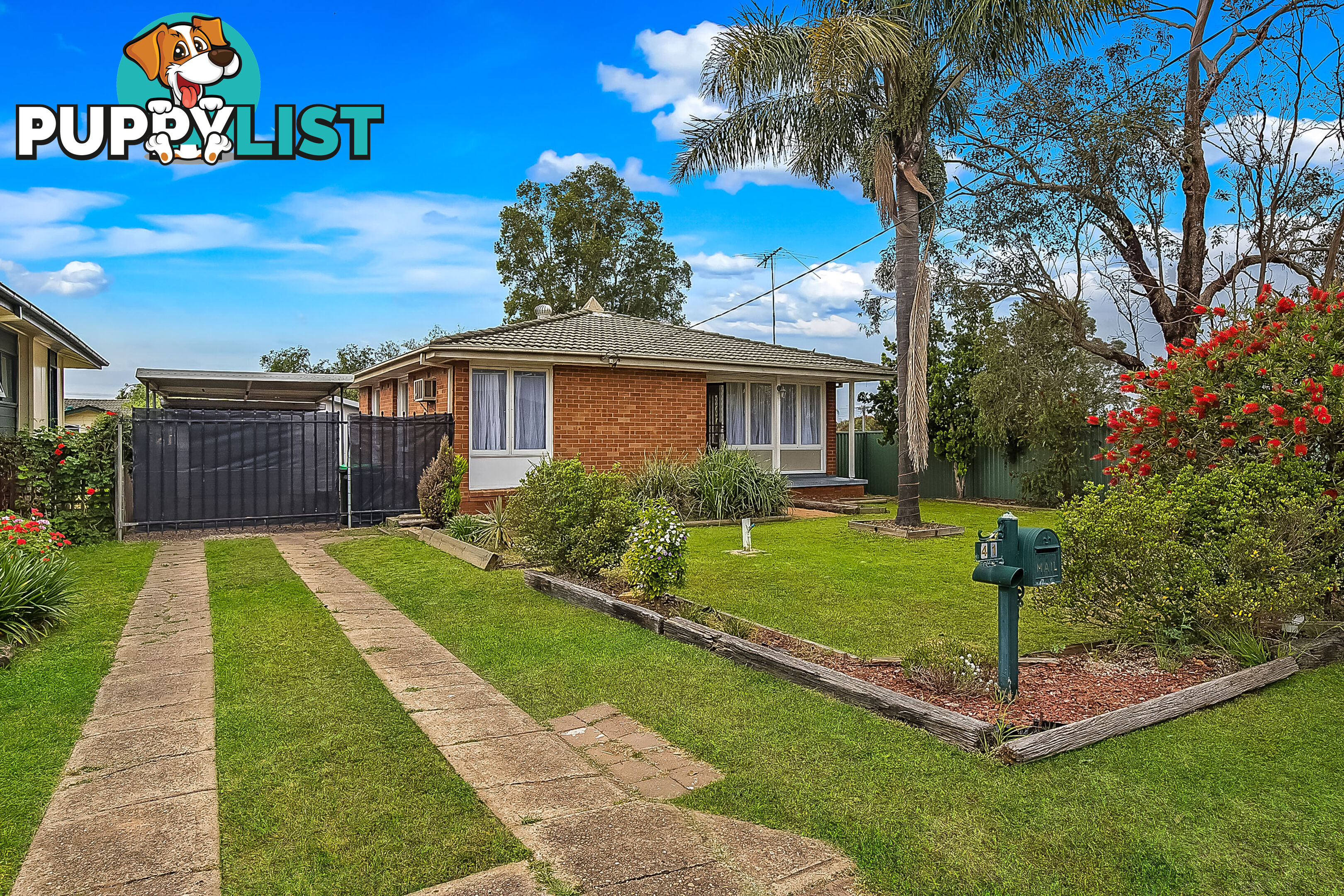 41 James Meehan Street WINDSOR NSW 2756