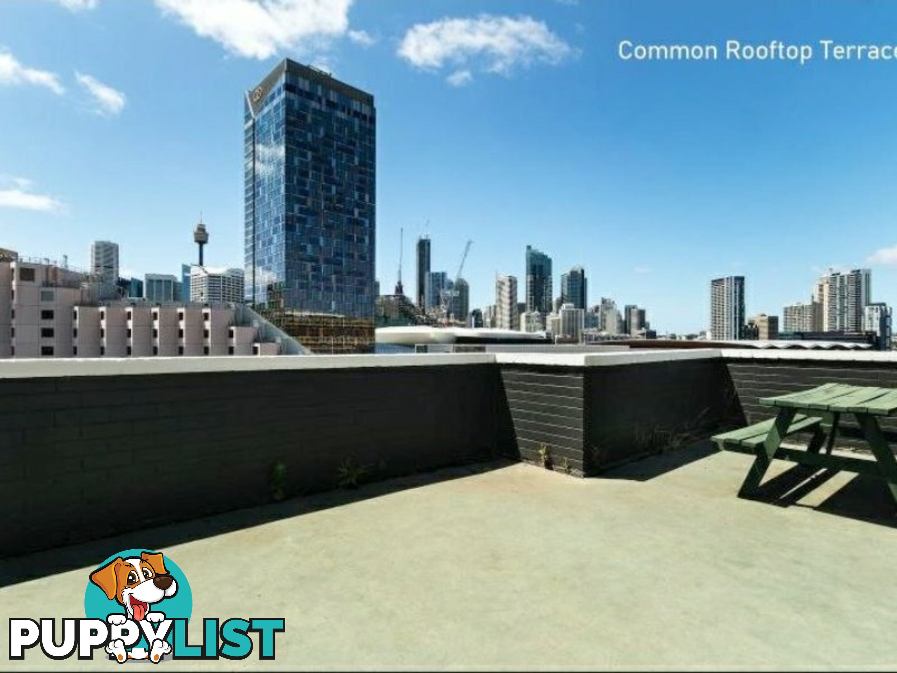 308/233 Pyrmont Street PYRMONT NSW 2009