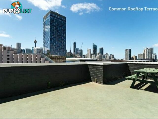 308/233 Pyrmont Street PYRMONT NSW 2009