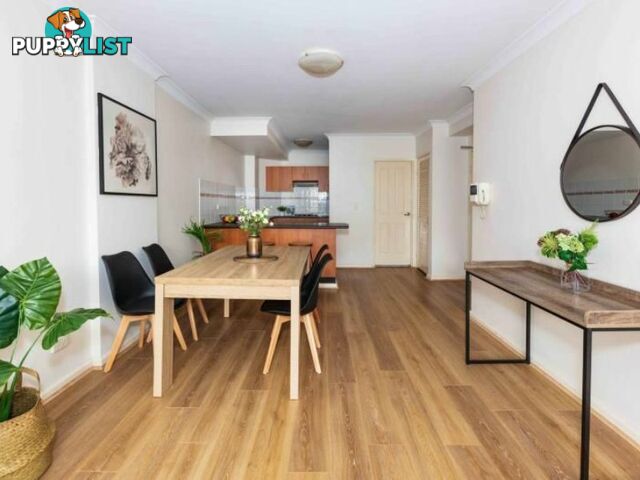 52/507 Elizabeth St SURRY HILLS NSW 2010