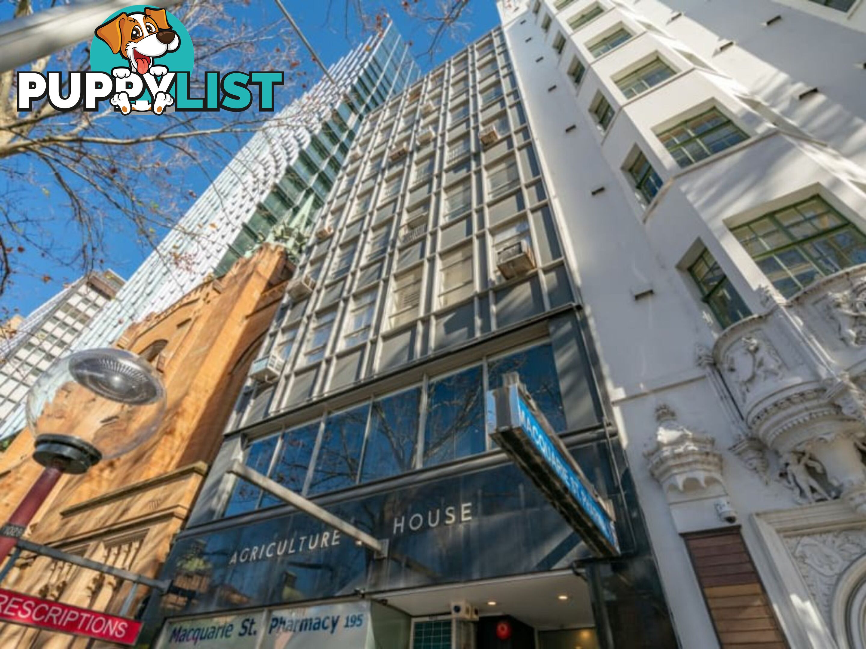 Suite 501/195 Macquarie Street SYDNEY NSW 2000