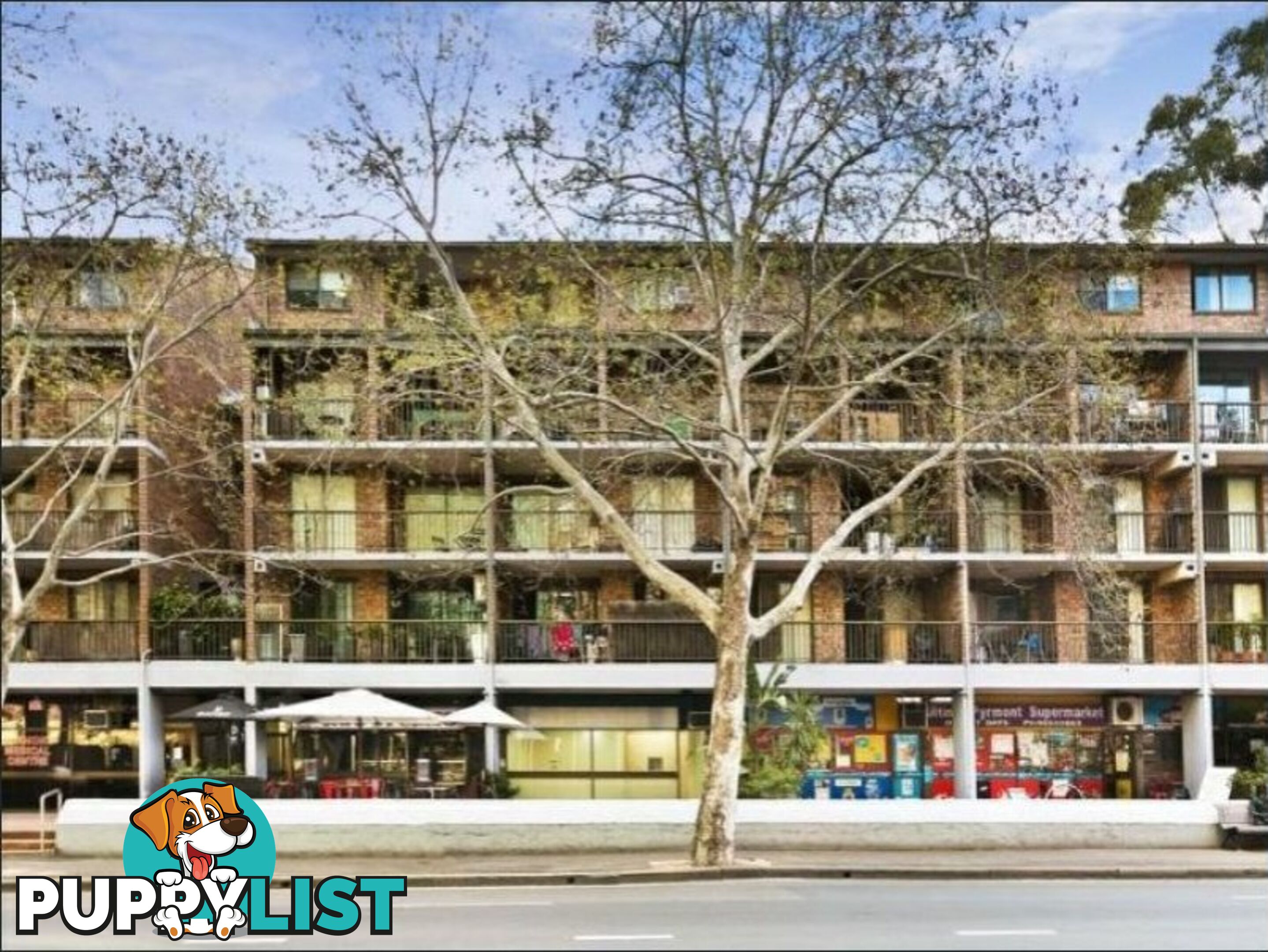 123/313 Harris Street PYRMONT NSW 2009