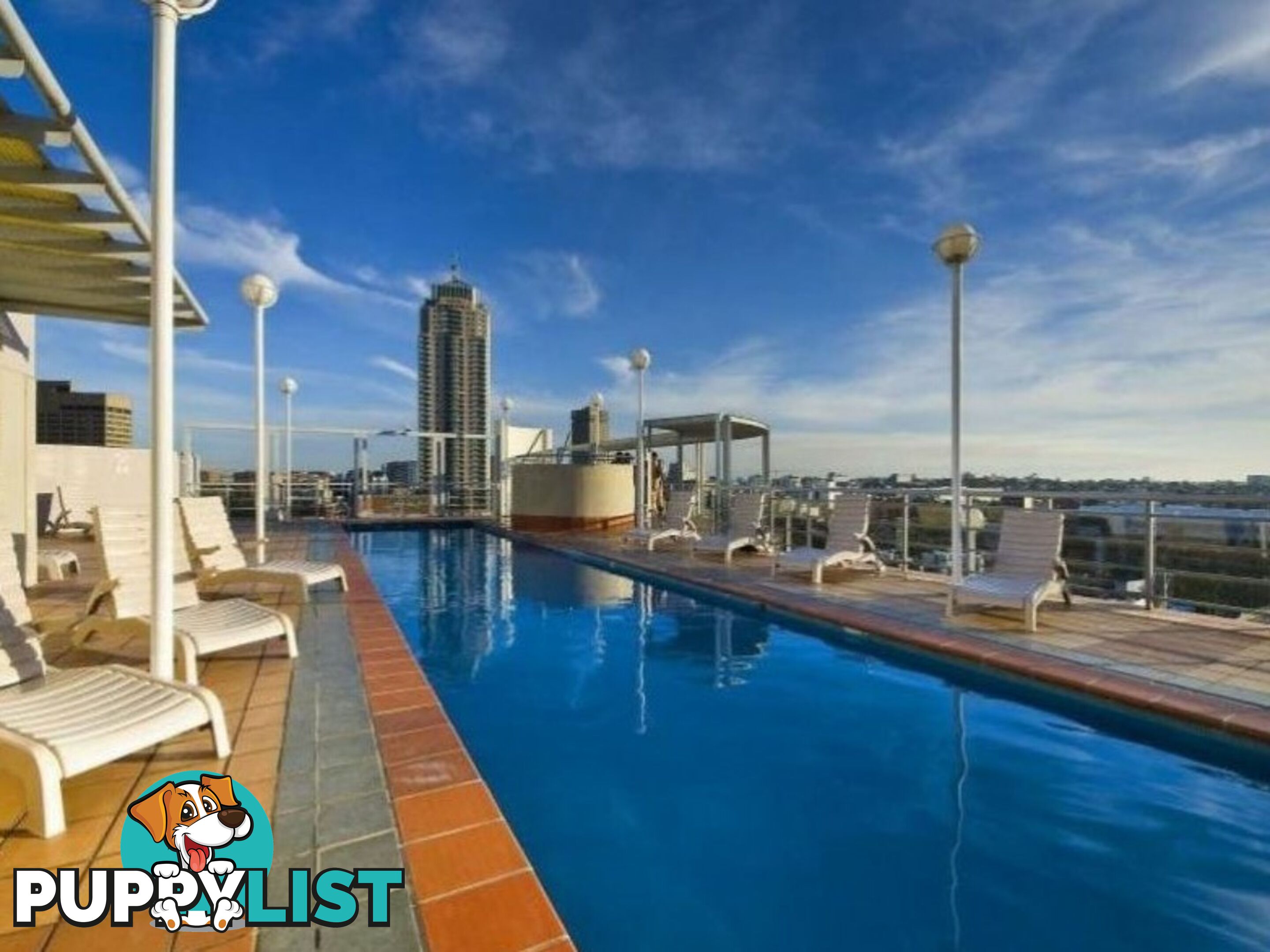 1010/28 Harbour Street SYDNEY NSW 2000